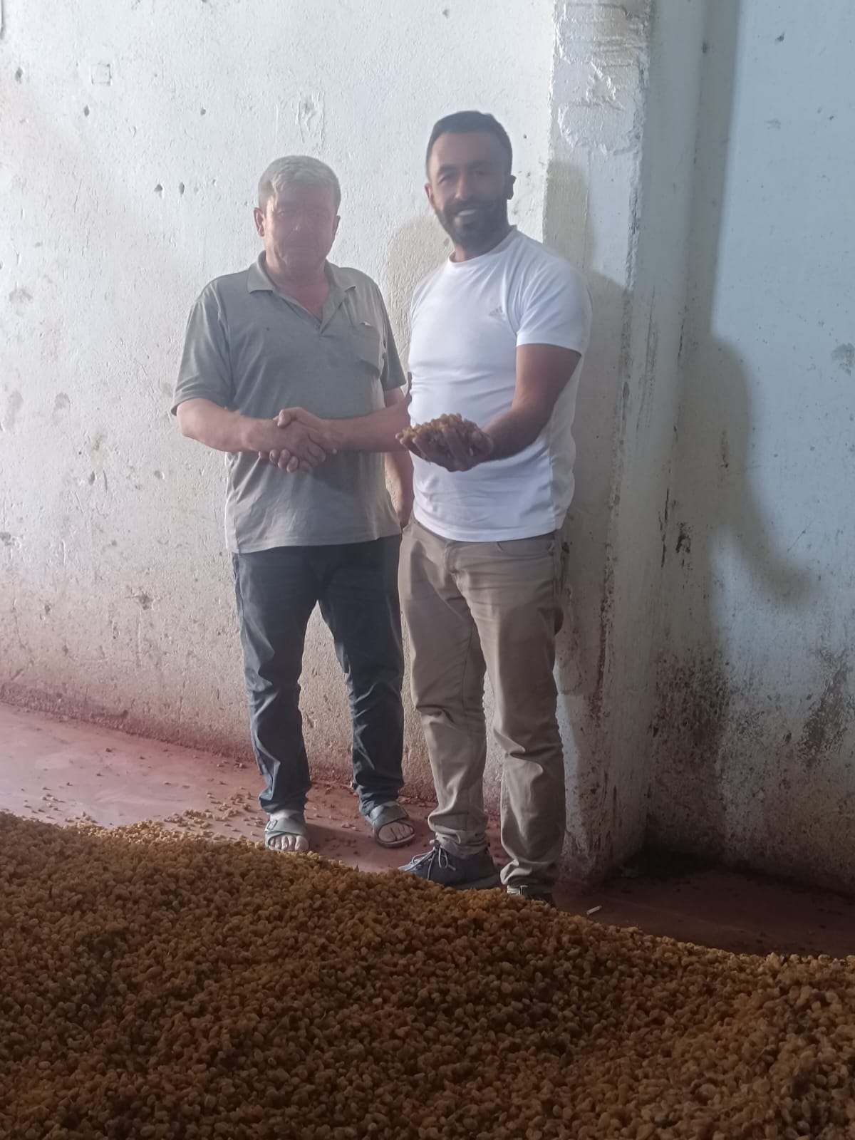 Kardeşler Tarım
